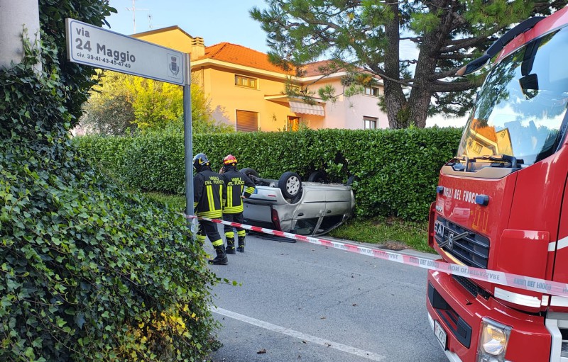 viganoincidente5.jpg (176 KB)