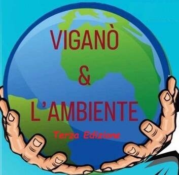 Vigano-e-l-ambiente-concorso_reference.jpg (51 KB)