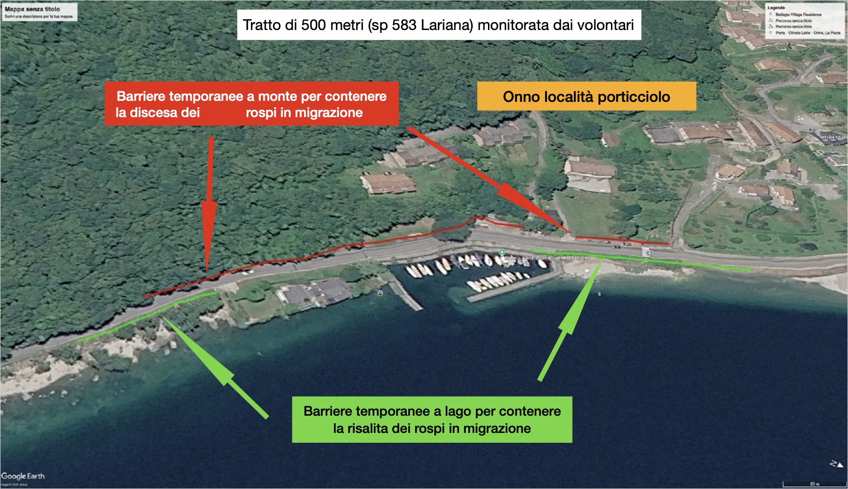 campagna_tutela_anfibi_2026__27_.jpg (554 KB)