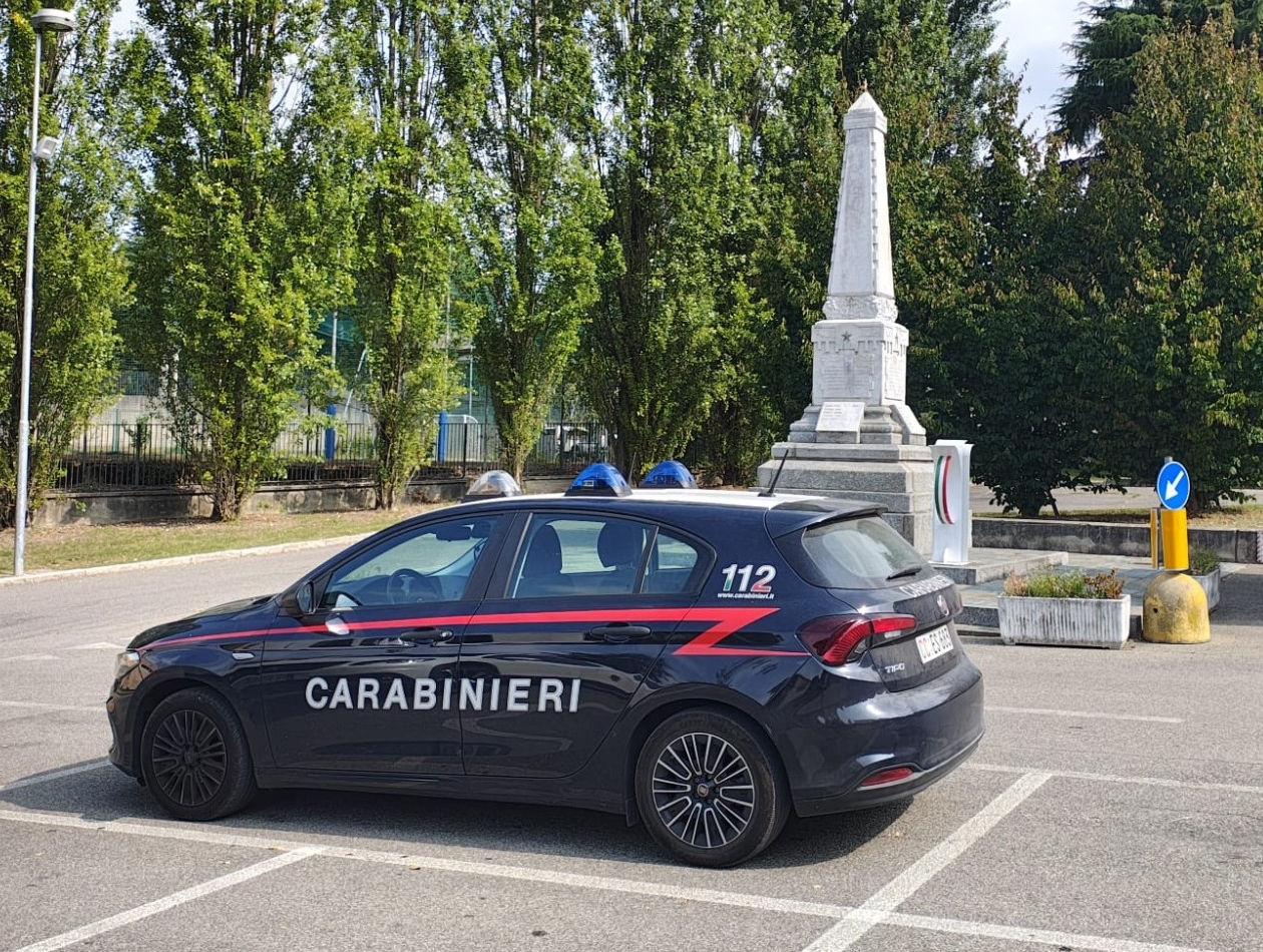 cassagovandali1.jpg (981 KB)