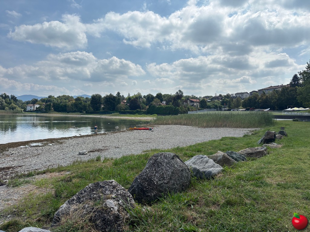 lagopusiano0009.jpg (280 KB)