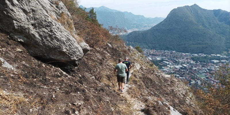 moregallorogo__1_.jpg (285 KB)