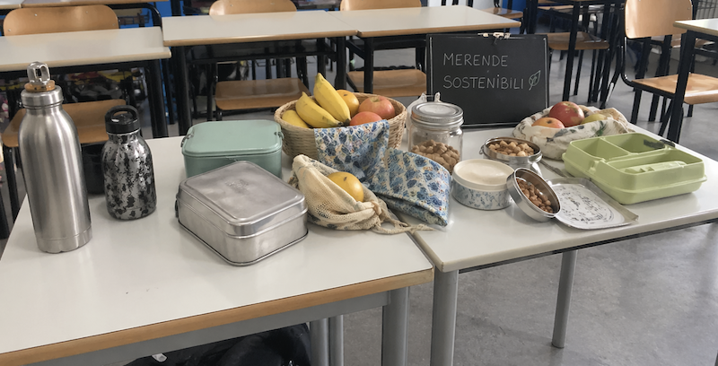 Bachelet_terra8.png (591 KB)