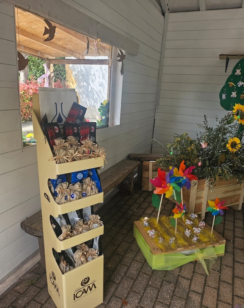 Cesana_uova5.jpg (330 KB)