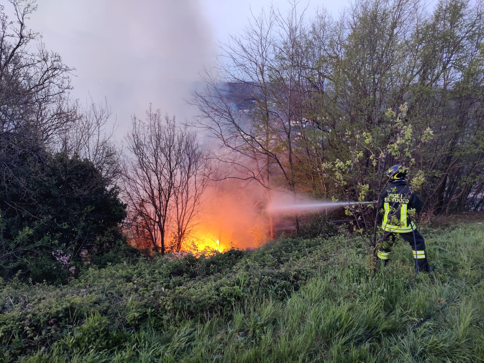 ColleSmHRogo.jpg (633 KB)