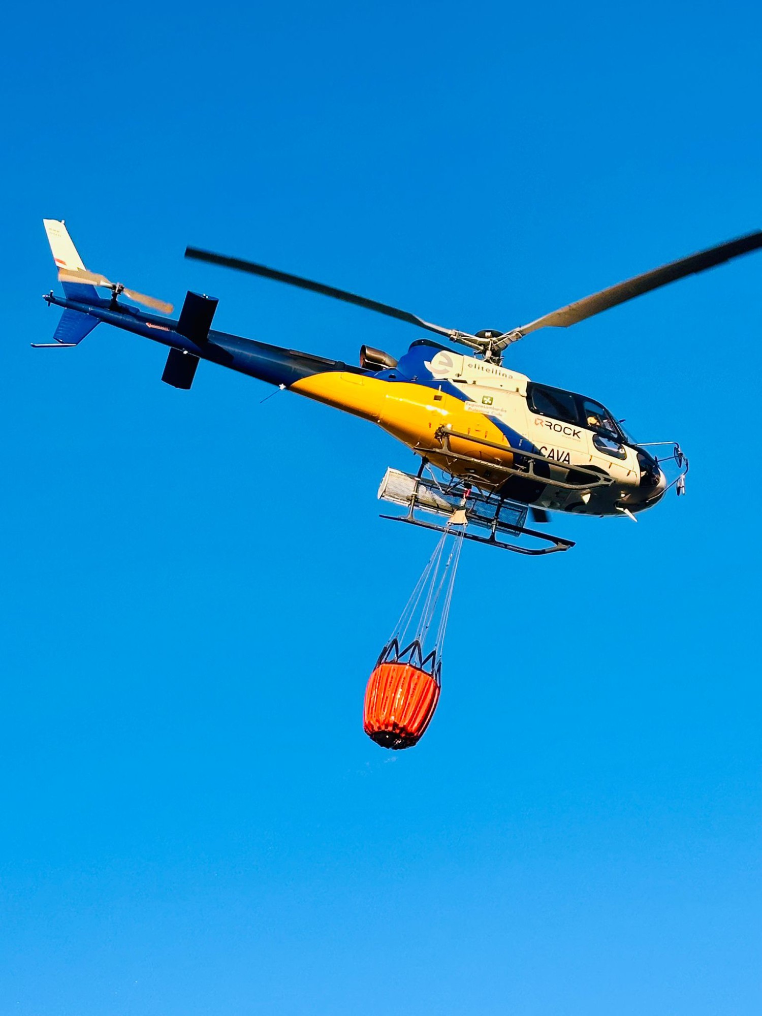 ColleSmHRogo2.jpg (249 KB)