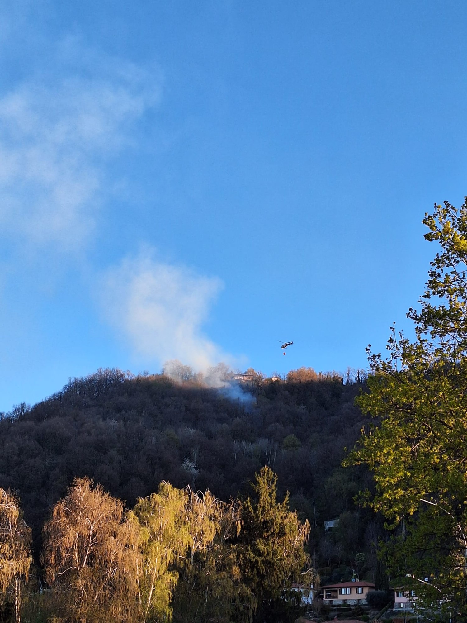 ColleSmHRogo3.jpg (510 KB)