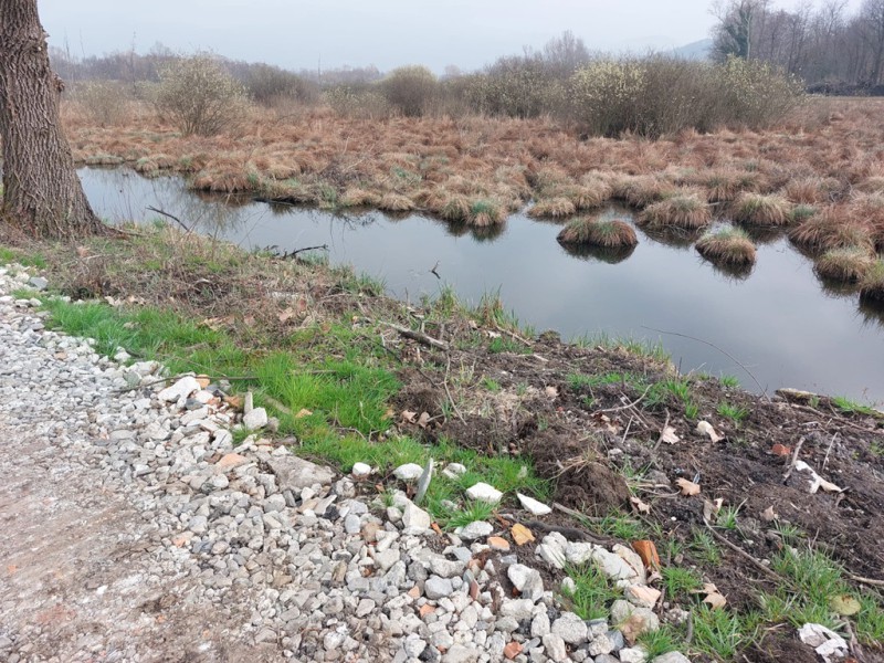 Gandaloglio_vasca_laminazione_area_umida_1.jpg (180 KB)