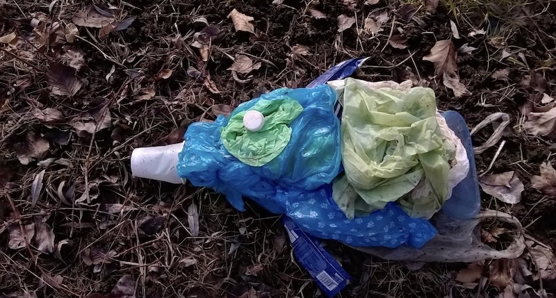 Pusiano_pesce_scarto1.jpg (212 KB)