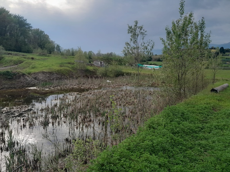 Rogeno_campus00002.jpg (255 KB)