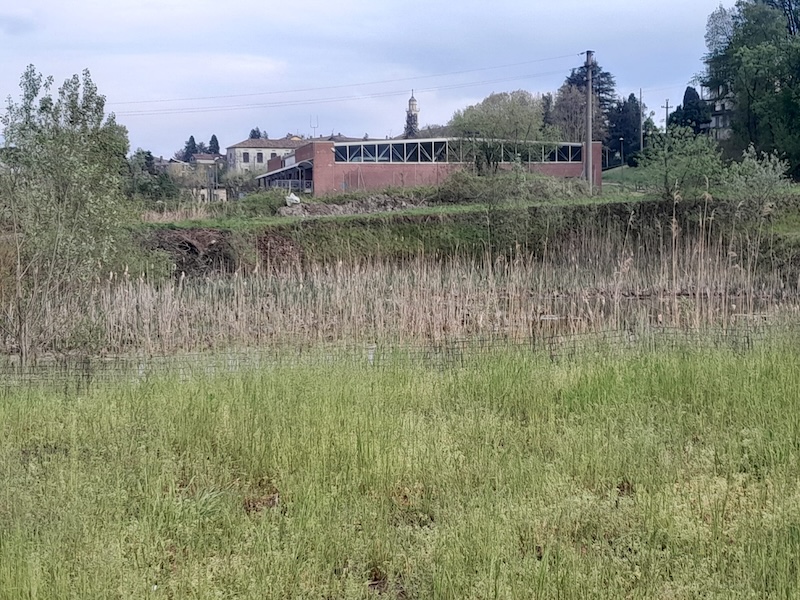 Rogeno_campus00007.jpg (269 KB)