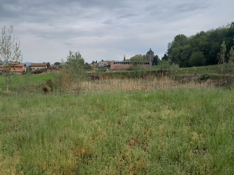 Rogeno_campus00010.jpg (216 KB)