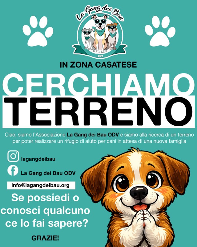 WhatsApp_Image_2026-04-27_at_08.17.01.jpeg (120 KB)