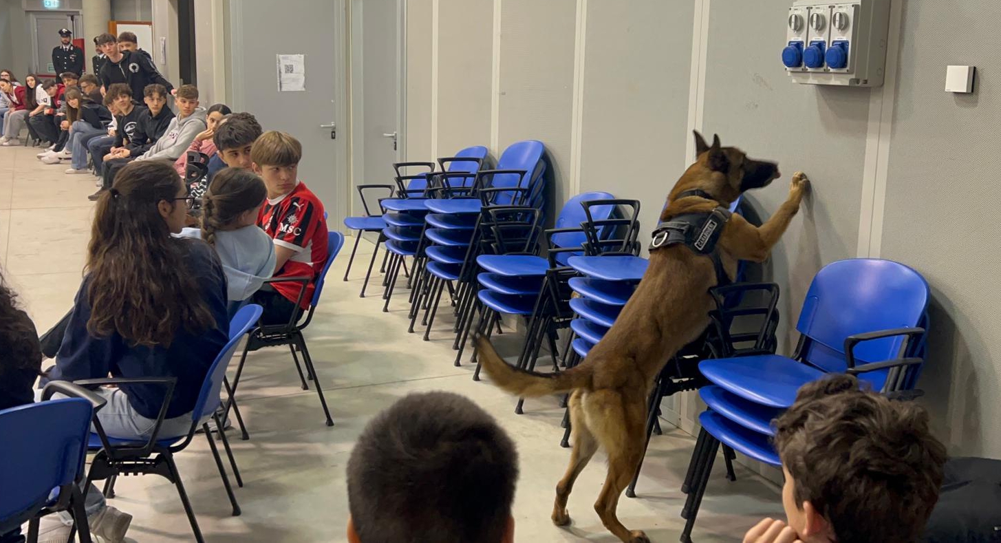 bachelet_cinofili__10_.jpeg (608 KB)