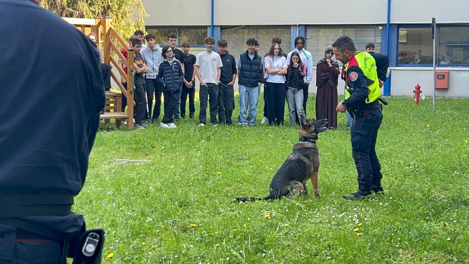 bachelet_cinofili__14_.jpeg (260 KB)