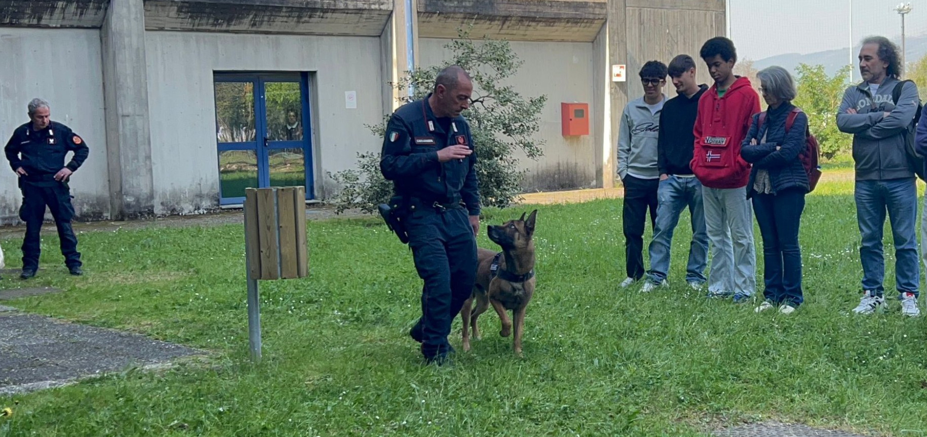 bachelet_cinofili__17_.jpeg (1012 KB)