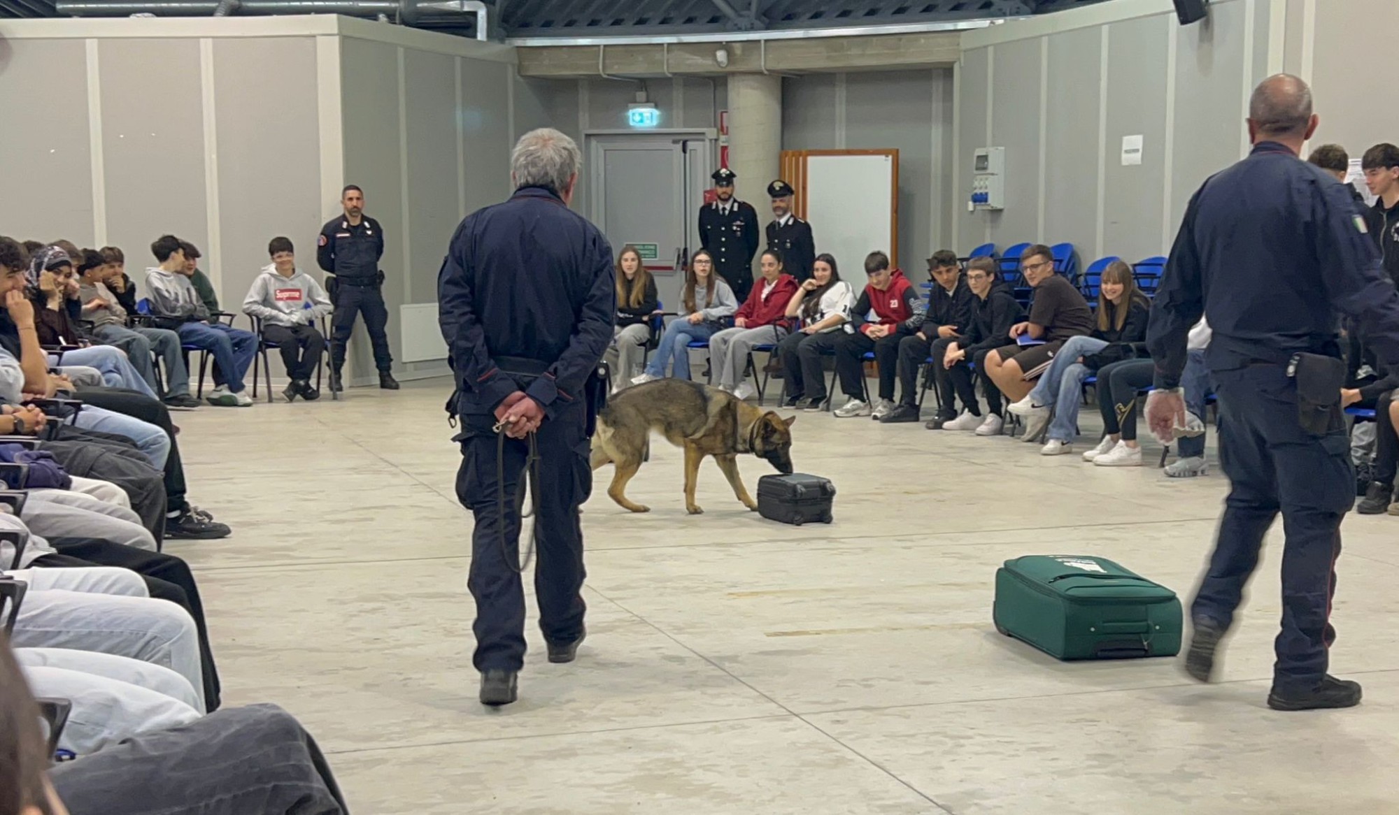 bachelet_cinofili__5_.jpeg (375 KB)