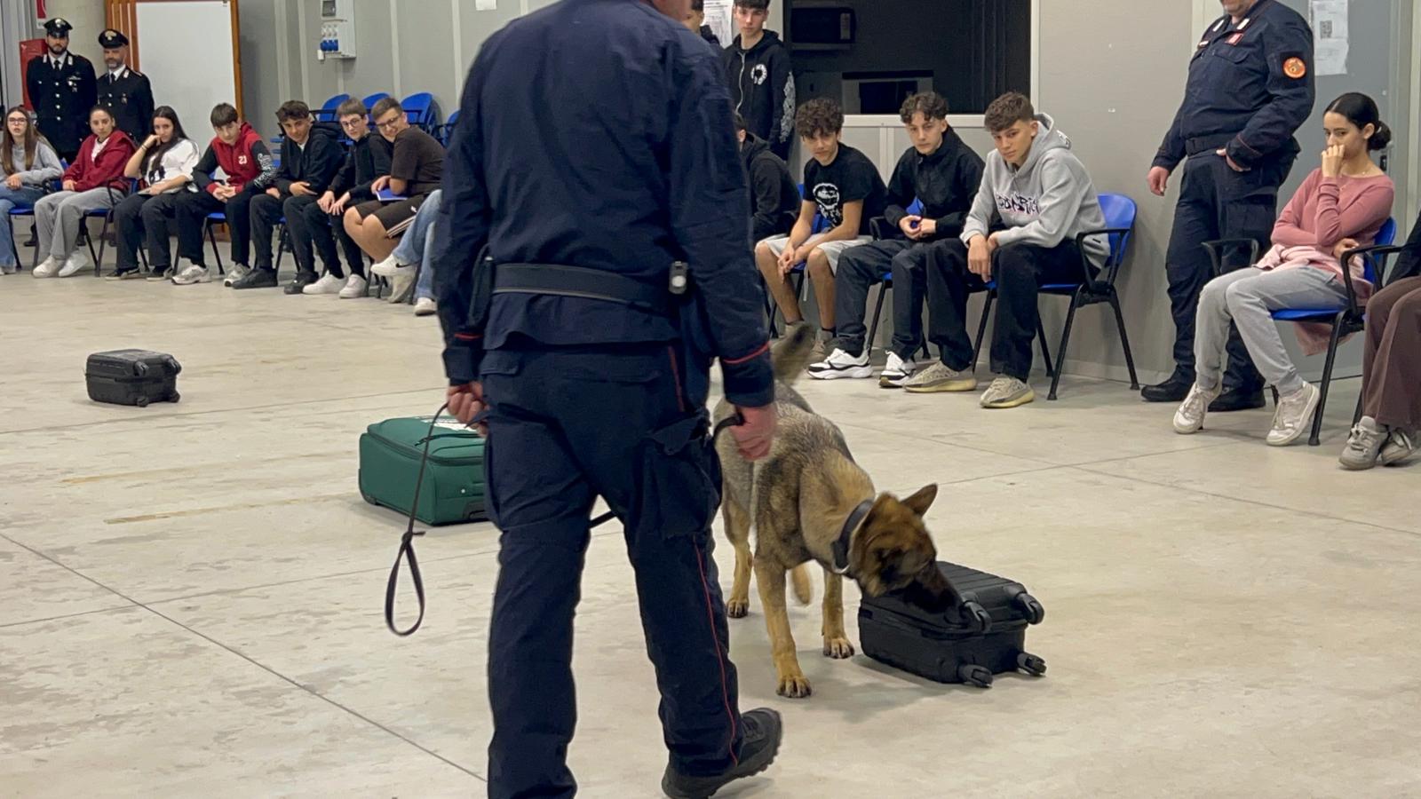 bachelet_cinofili__6_.jpeg (168 KB)