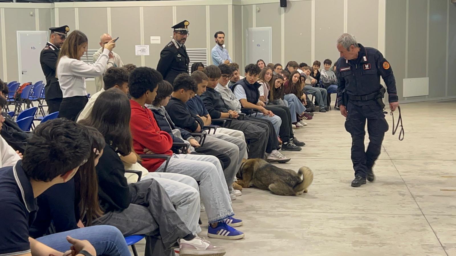 bachelet_cinofili__8_.jpeg (172 KB)