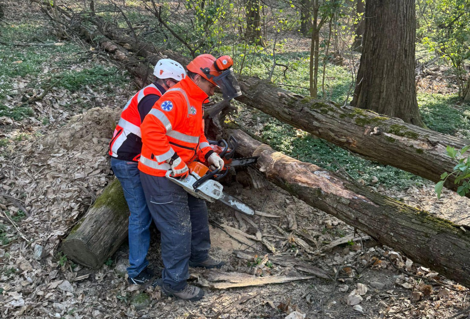 barzagopc.jpg (1.15 MB)