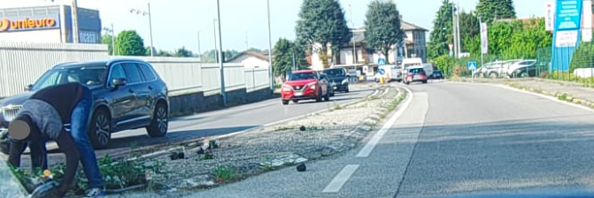 barzanocarico3.jpg (73 KB)