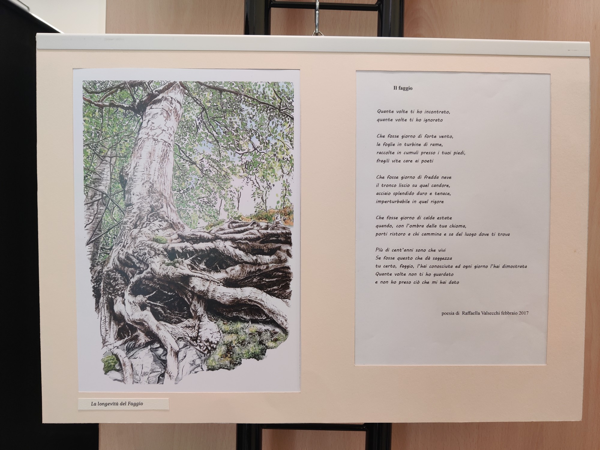 barzanomostramontagna__2_.jpg (501 KB)