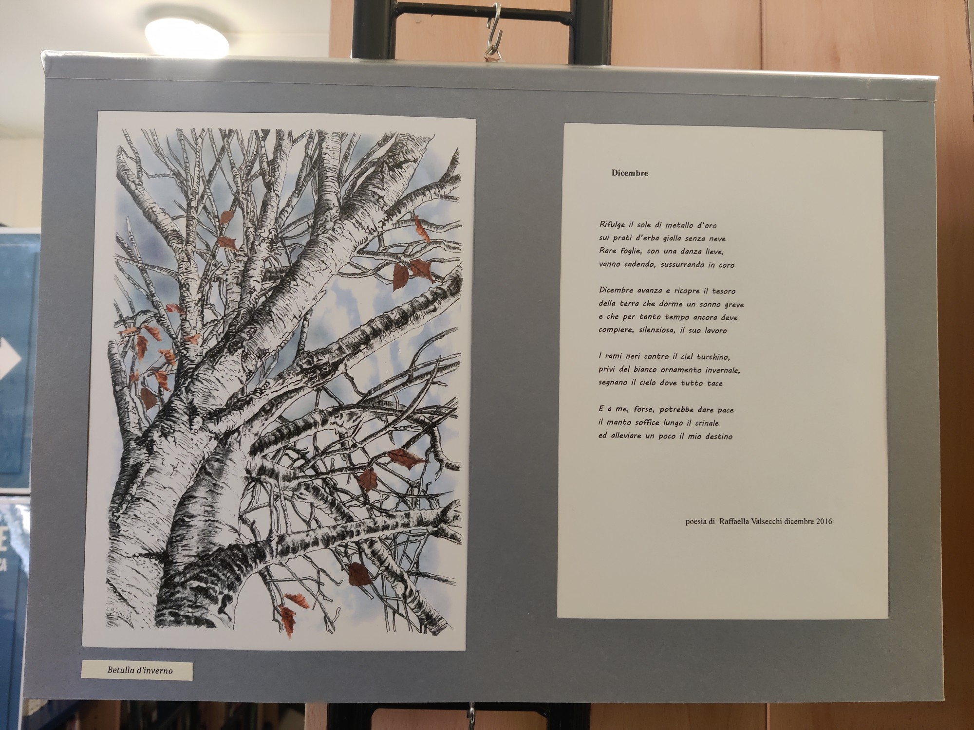 barzanomostramontagna__3_.jpg (502 KB)