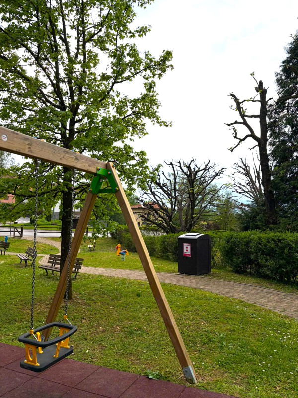 bosisiocestini__2_.jpg (201 KB)