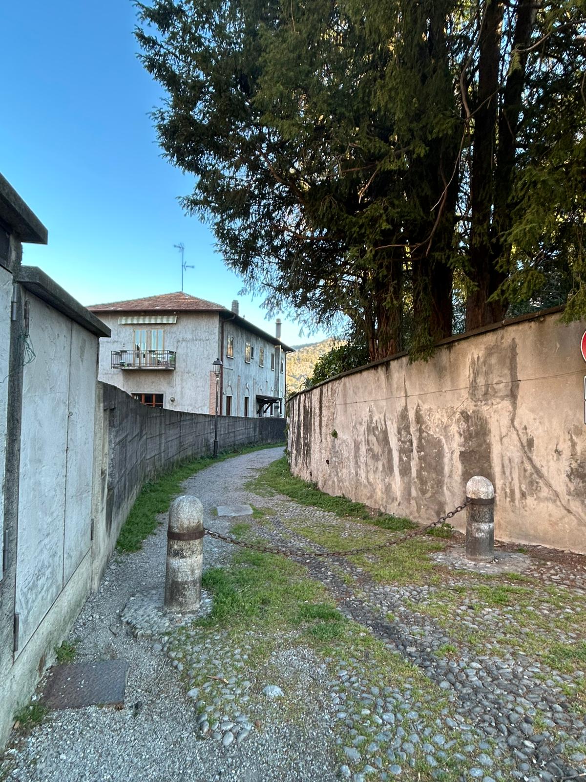 bosisiovialmolo__1_.jpeg (399 KB)