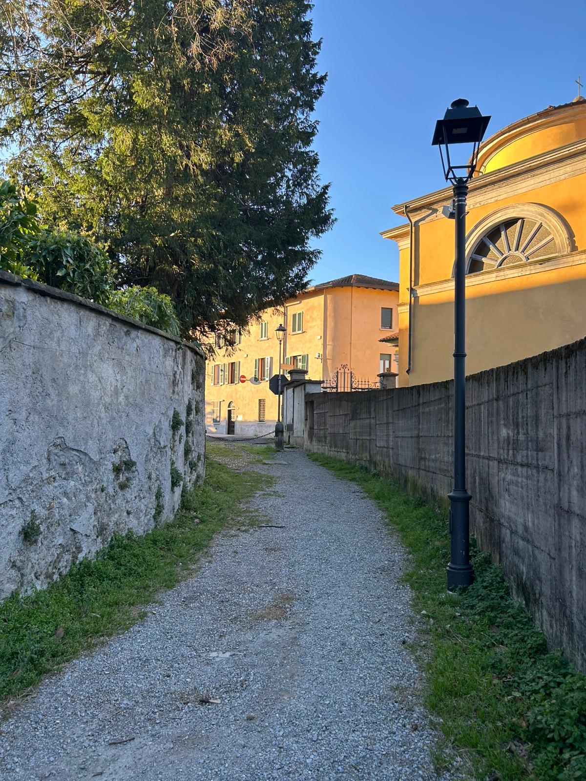 bosisiovialmolo__2_.jpeg (422 KB)