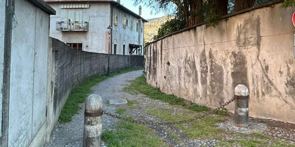 bosisiovialmolopr.jpg (36 KB)