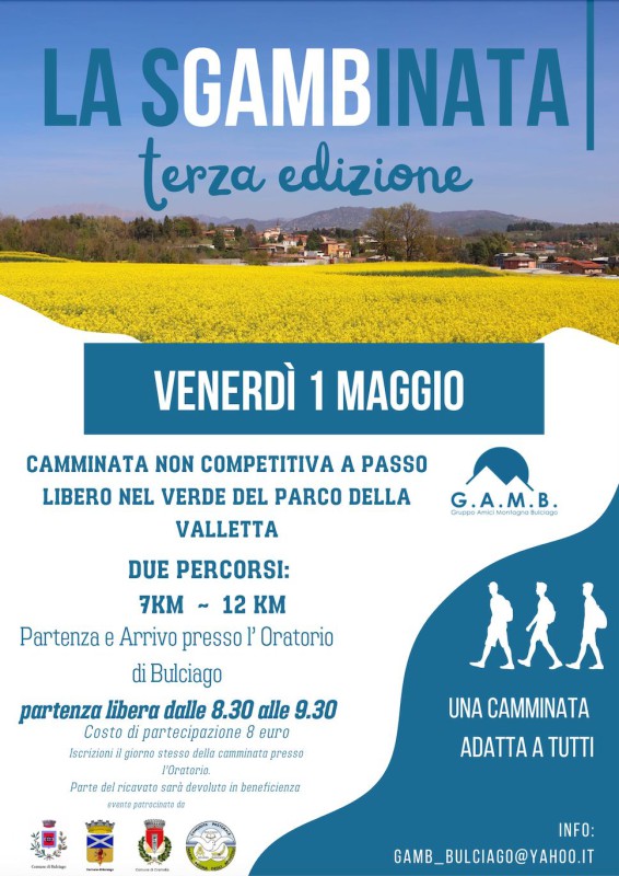 bulciagosgambinata.jpg (107 KB)