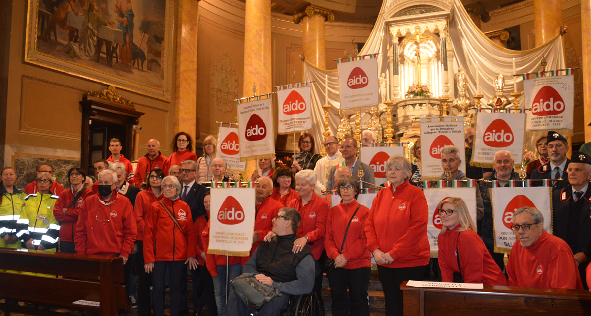 casate_aido3.jpg (405 KB)