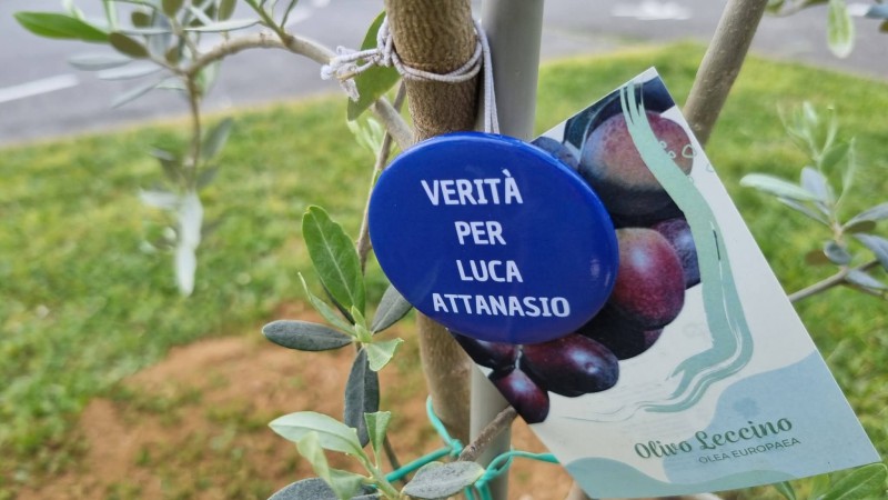 casatenovogiusto2.jpg (77 KB)