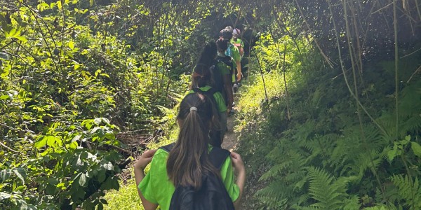 cassagocreapr.jpeg (174 KB)