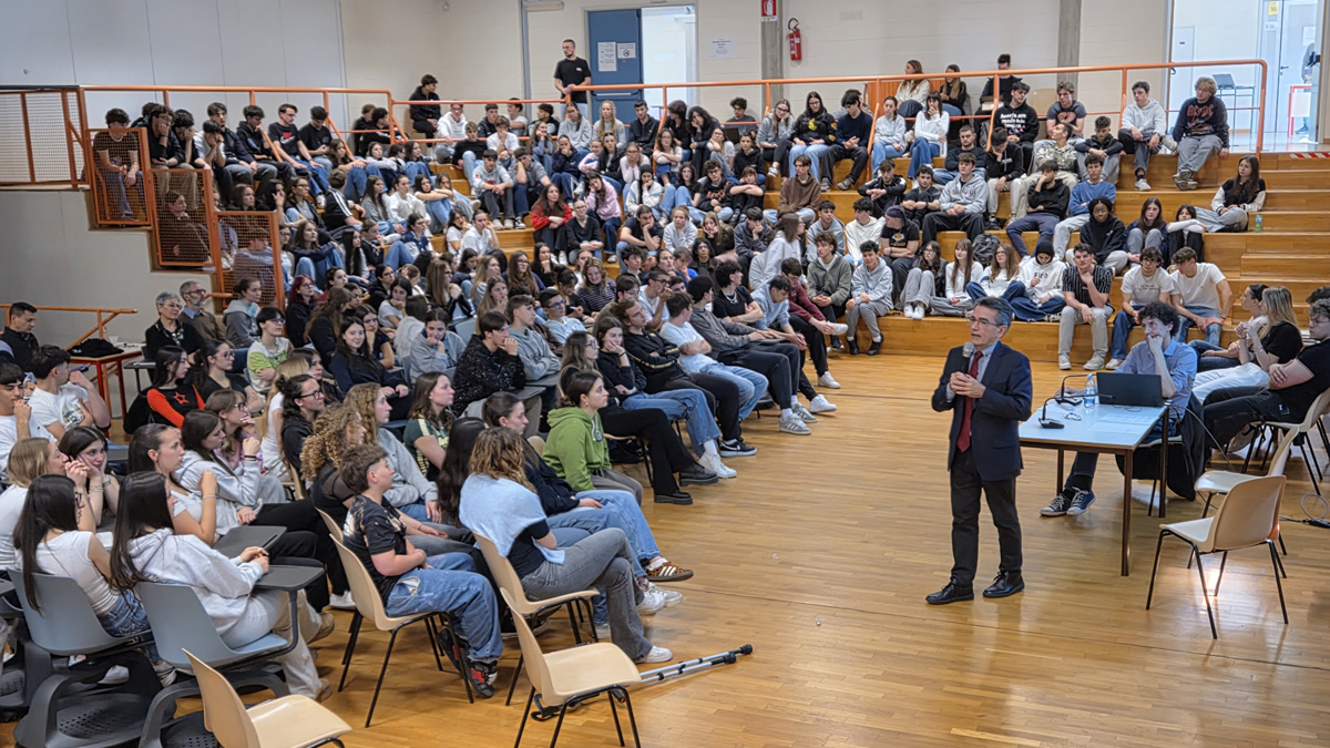 greppisomoza1.jpg (443 KB)