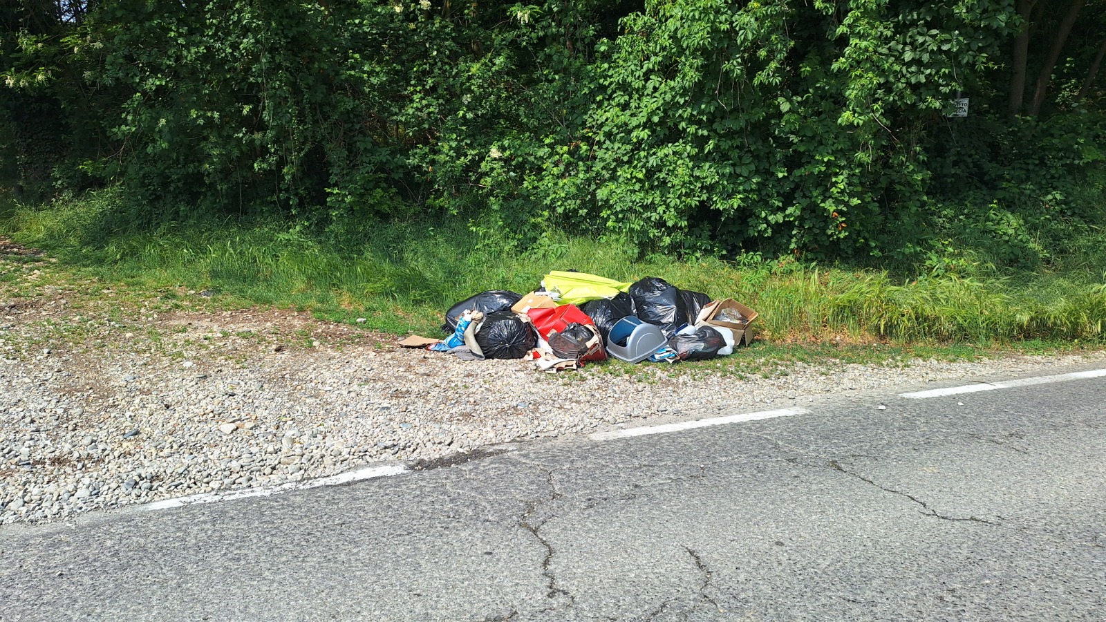 lomagnarifiuti.jpg (782 KB)