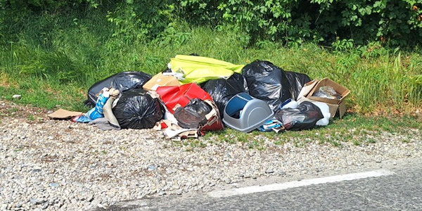 lomagnarifiutipr.jpg (100 KB)