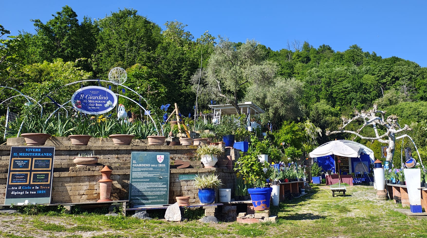 missaglianogaro2.jpg (1.13 MB)