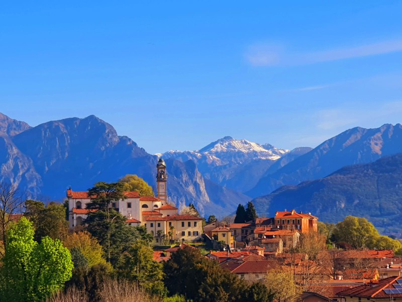 moltenocollina.jpeg (105 KB)