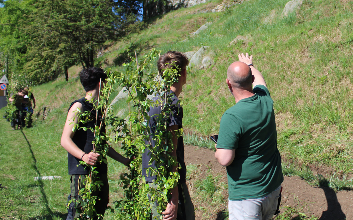 monticellobalze3.jpg (584 KB)