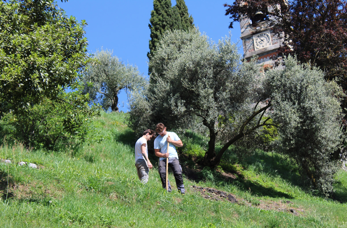 monticellobalze4.jpg (769 KB)