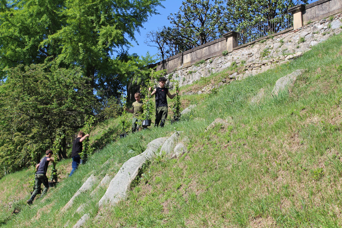 monticellobalze5.jpg (900 KB)