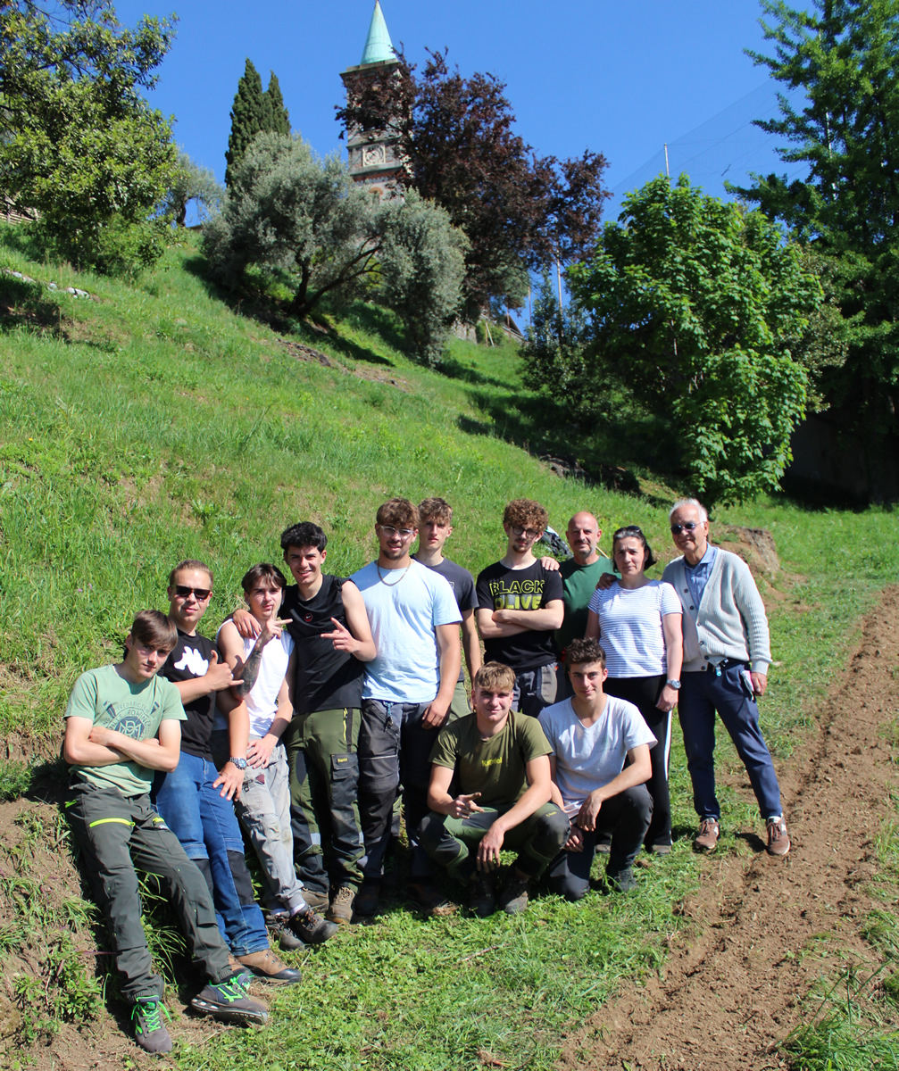 monticellobalze7.jpg (916 KB)