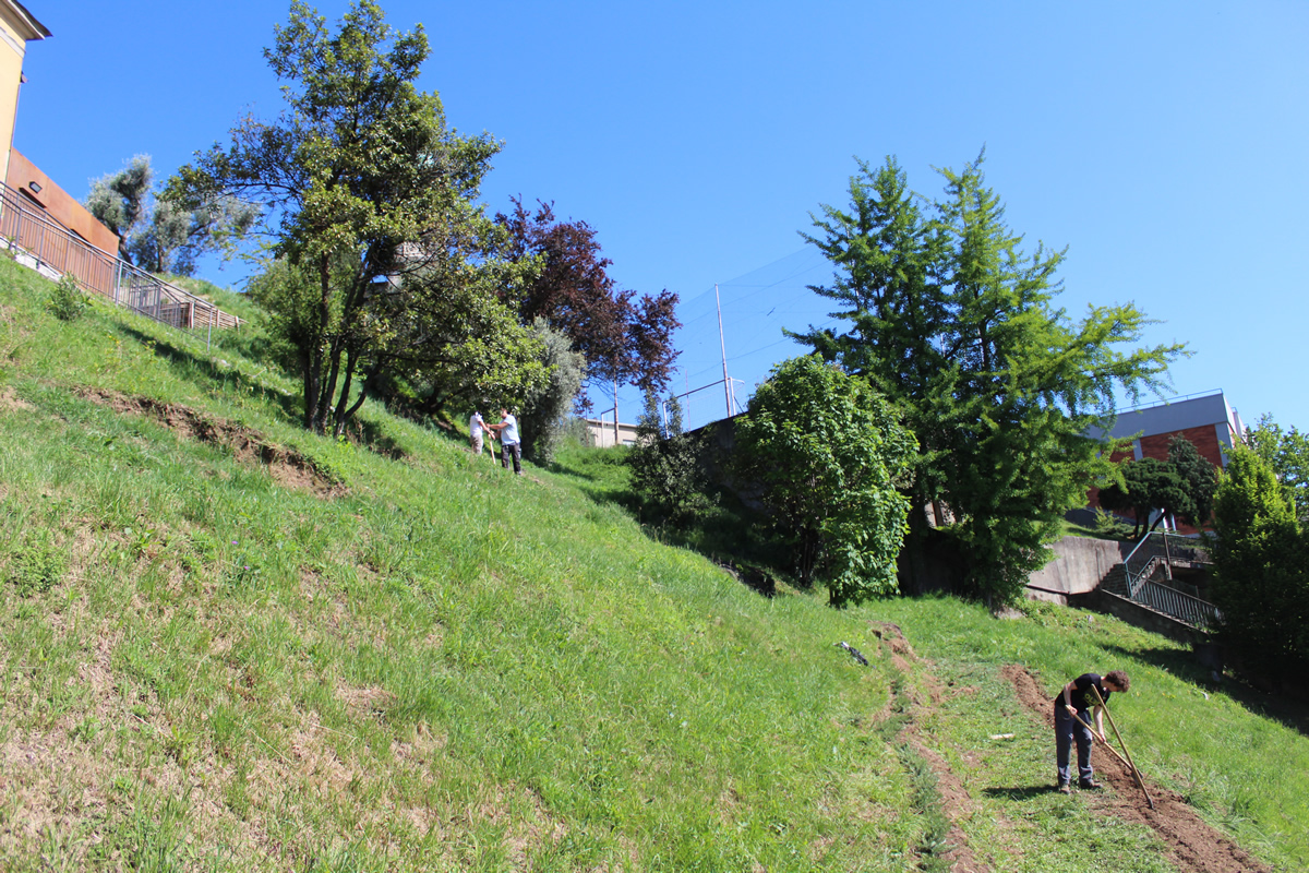 monticellobalze8.jpg (713 KB)