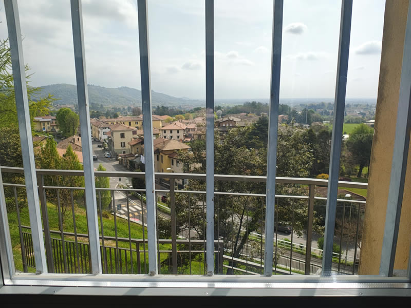 monticellolimonera2.jpg (93 KB)