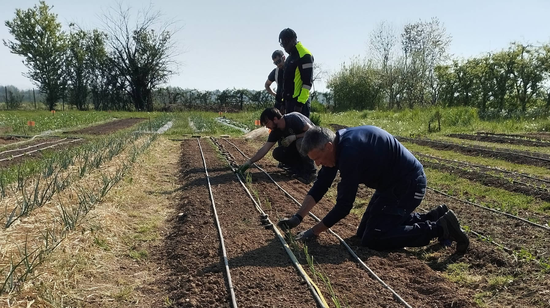 paso_fomas2.jpg (511 KB)