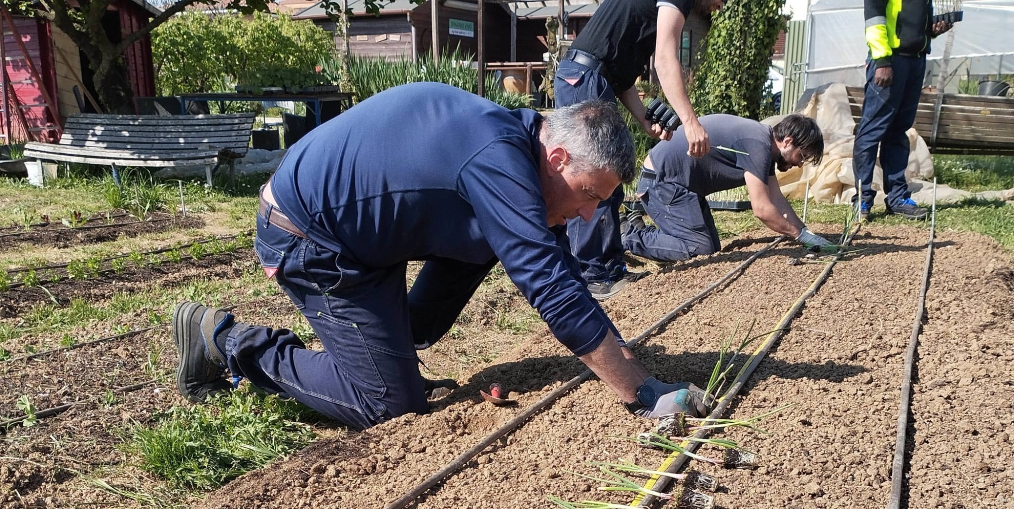 paso_fomas3.jpg (727 KB)