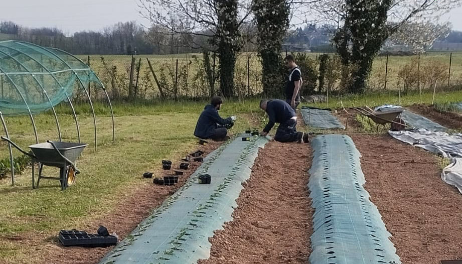 paso_fomas5.jpg (191 KB)