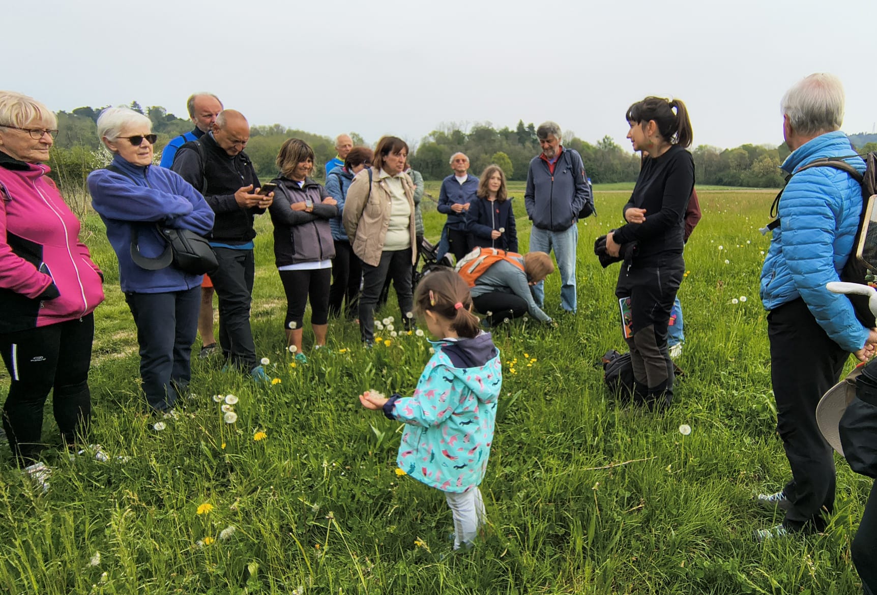 plis_camminata__1_.jpeg (357 KB)